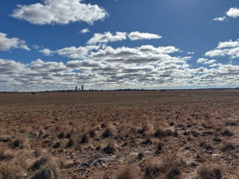 Lyra Energy secures PPAs for 255MW Thakadu solar project in South Africa