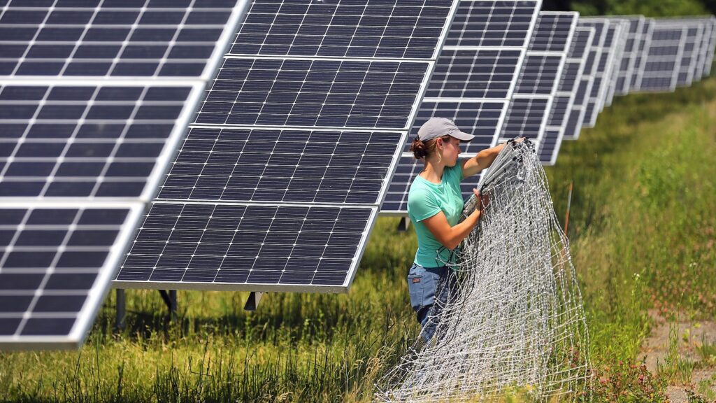 The state of solar: Despite partisan rhetoric, the industry is still booming