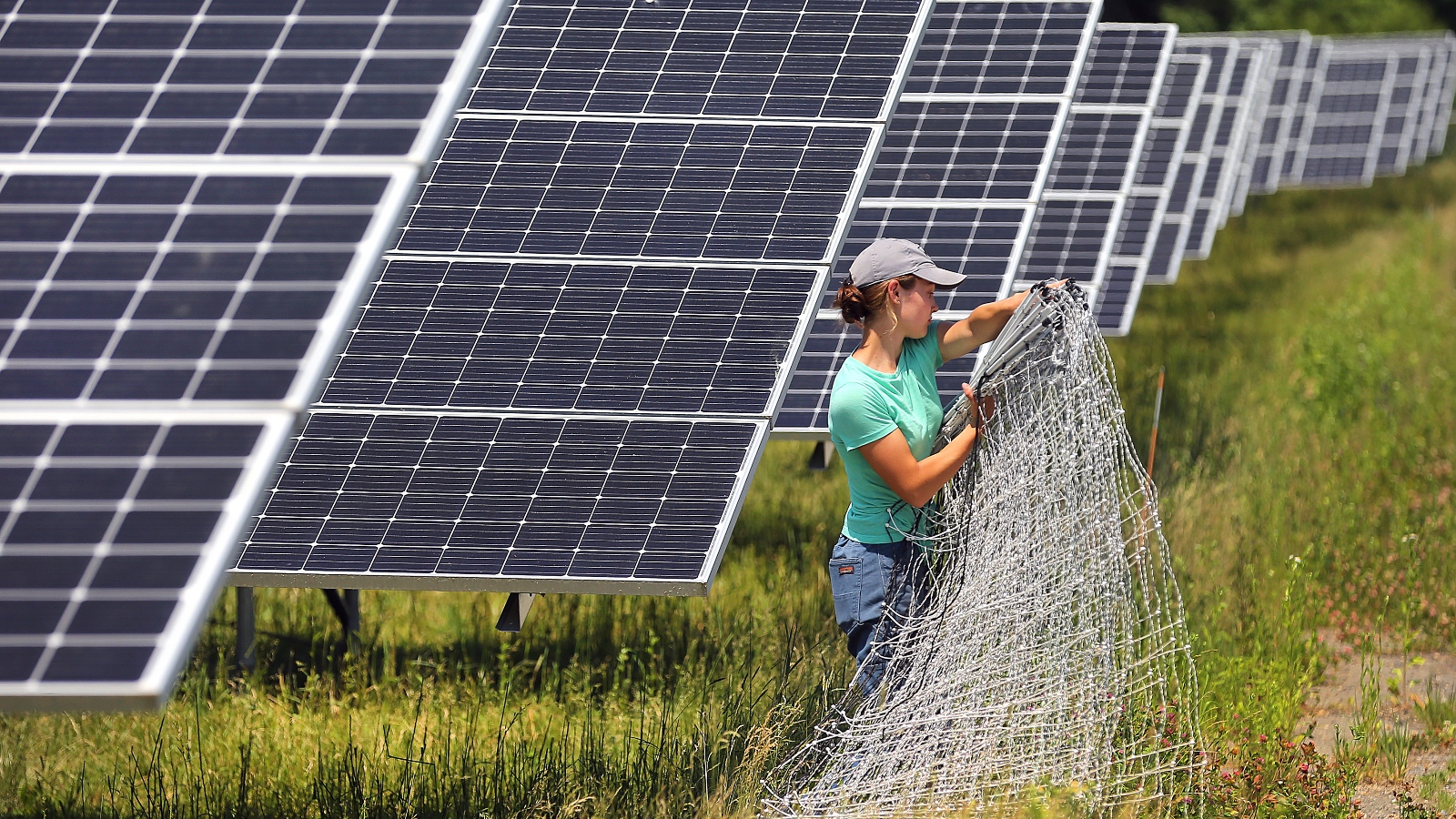 The state of solar: Despite partisan rhetoric, the industry is still booming