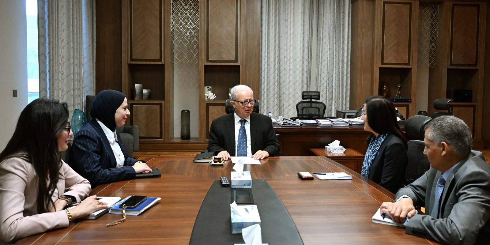 State asset reforms and 200-megawatt solar project top Egypt-UNDP economic agenda