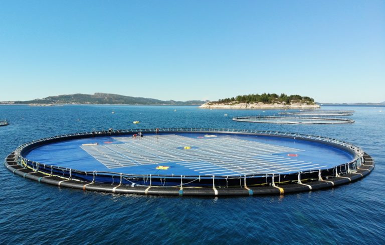 Ocean Sun inks MoU to deploy utility-scale floating solar across Asia