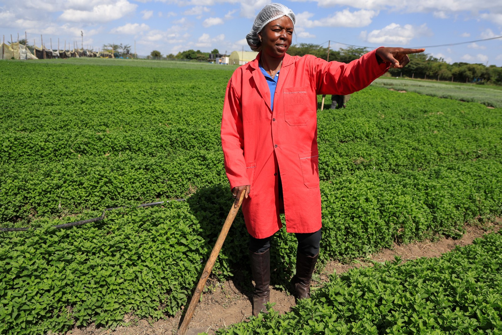 Solar cold storage helps African farmers cut losses and reach global markets