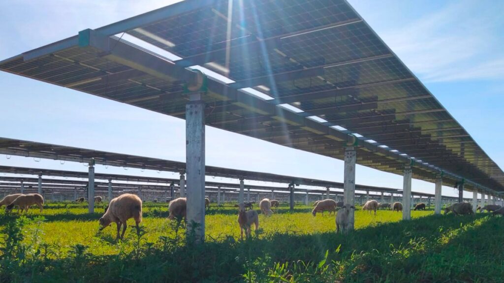 Wall Street Is Pivoting From Solar To Solar Plus Storage