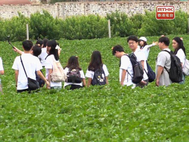 Xinjiang cotton production awes Solar Project pupils