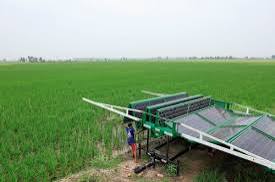 Solar Replaces Diesel as Pakistan’s Biggest Farm Irrigation Power Source, Diesel Tubewells Drop 36%