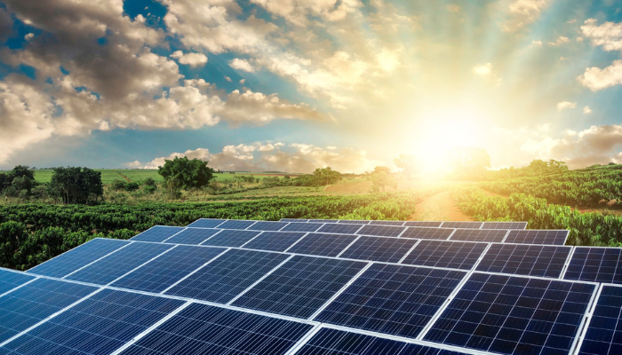 FG electrifies 13,000 homes, businesses in Rivers with 12MW solar grids