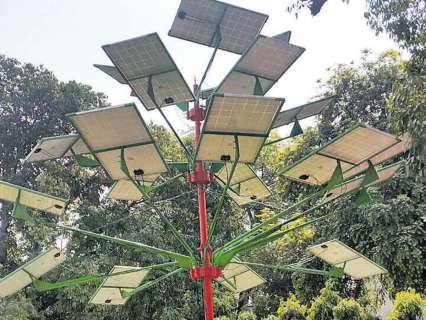 Delhi govt plans to install first solar tree at Secretariat; Here’s how it can reshape urban power supply in the capital