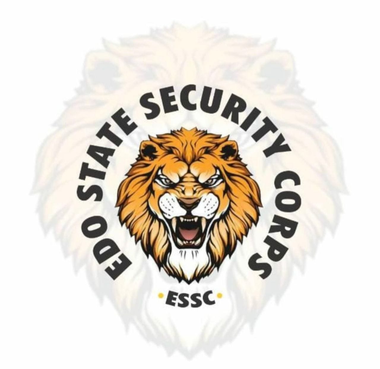 Edo Security Corps Arrests 4 over Alleged Theft of Solar Batteries