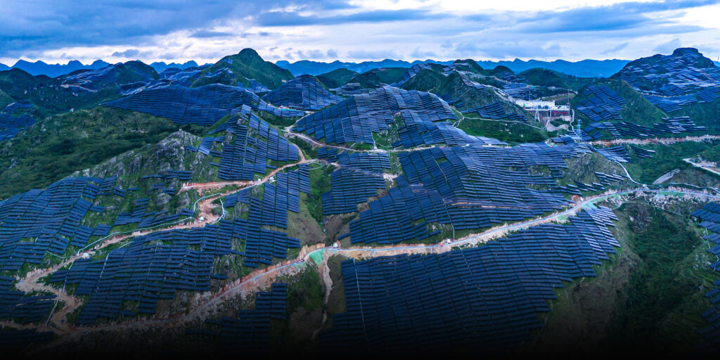 Study Linking Solar Farms to Bird Loss Draws Scrutiny in China