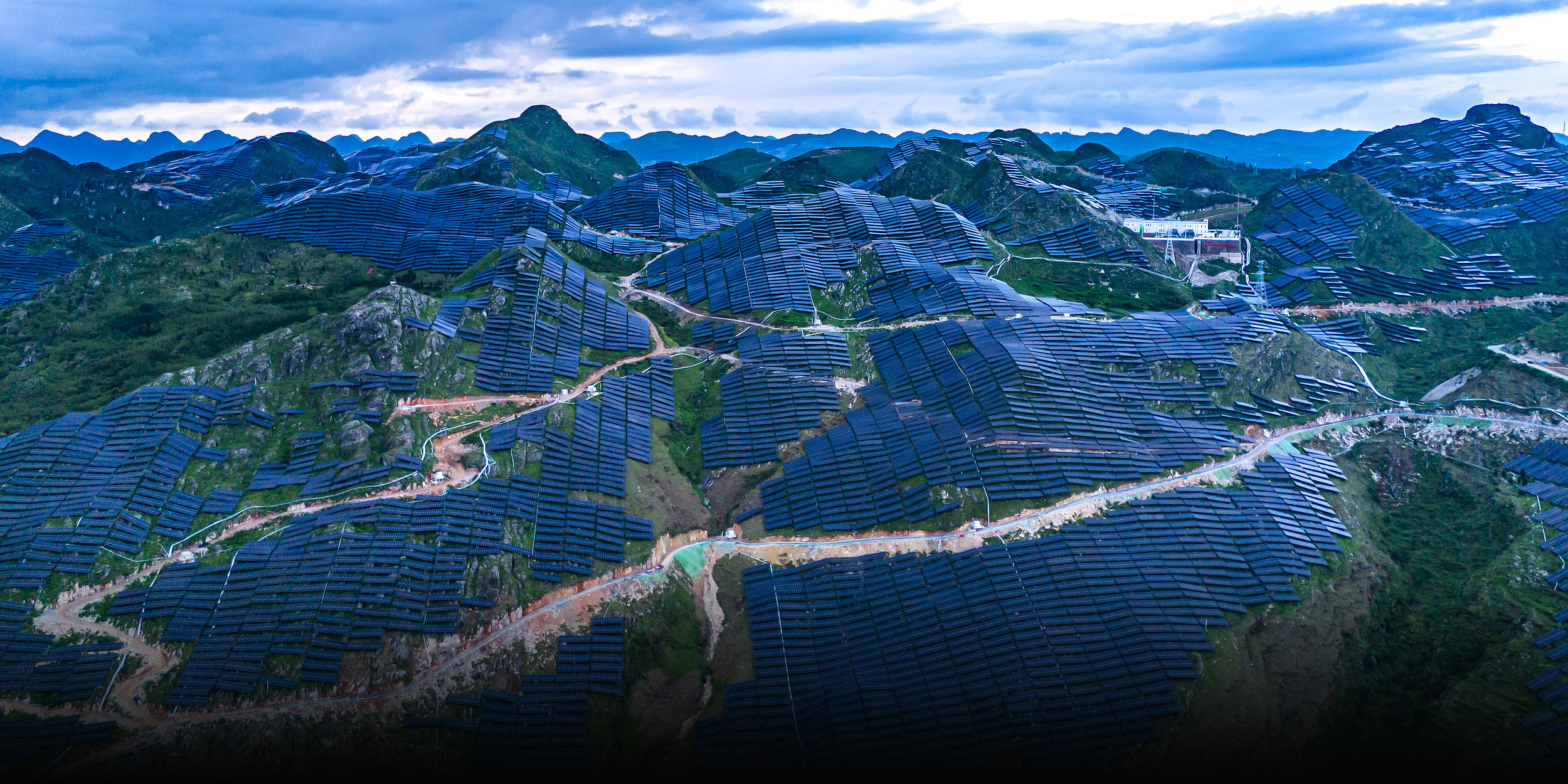 Study Linking Solar Farms to Bird Loss Draws Scrutiny in China