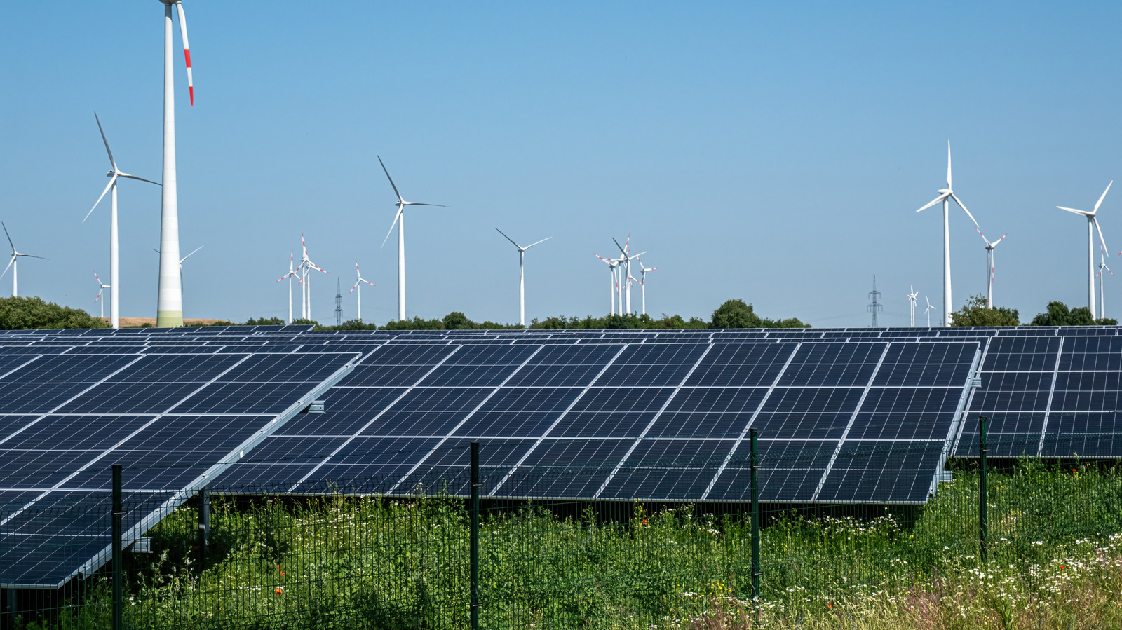 This Unexpected Country Is Building The EU’s Biggest Solar Farm