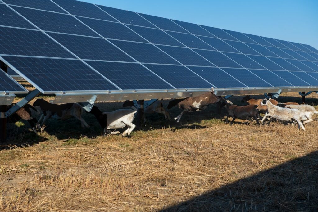 New Alberta recycling fee on solar panels adds extra burden, renewables sector says