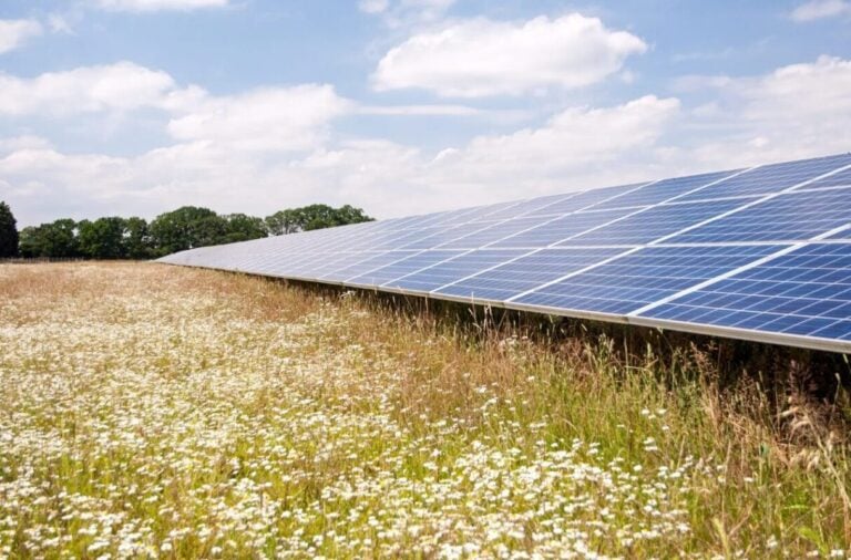 Low Carbon plans to build 500MW UK solar-plus-storage project