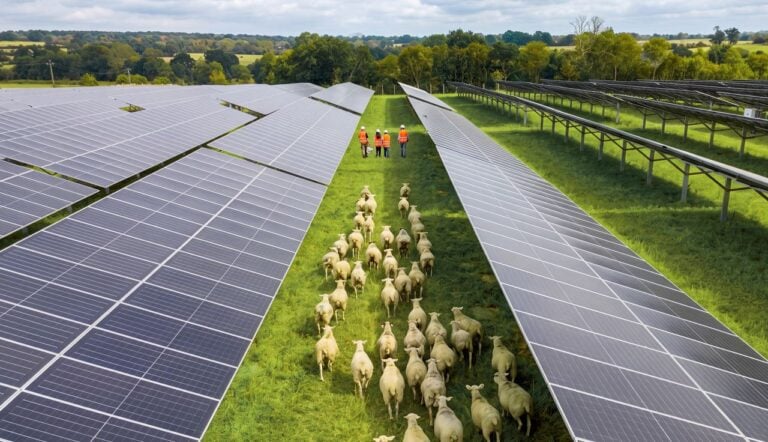 Neoen starts construction on 122MW solar PV portfolio in France, including agriPV and FPV