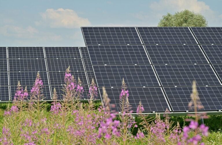 Cox secures financing for 75.2MW solar project in Guatemala