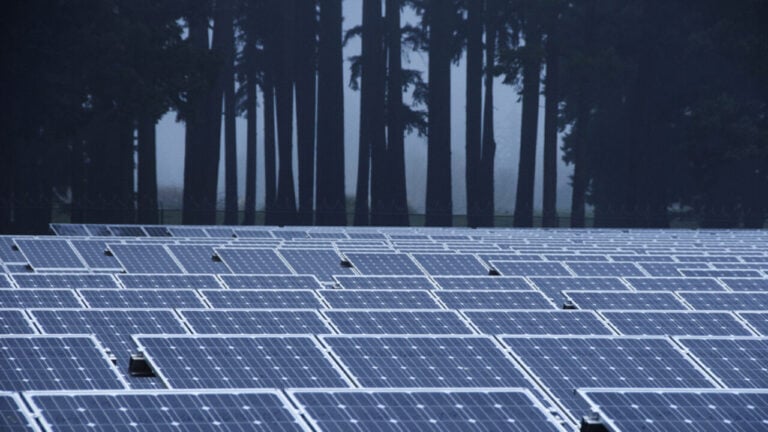 TP Solar’s output of made-in-India modules rises to 1GW