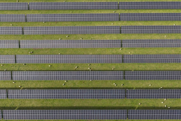 Briscoe Group and Farro ink supply deals with New Zealand solar generator Lodestone Energy