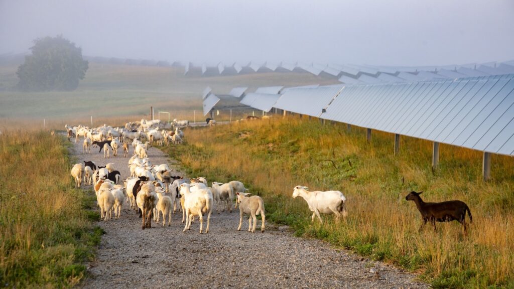 Trump just effectively killed a popular solar energy program for rural America